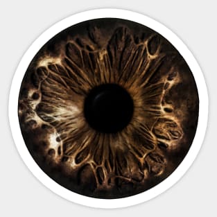 Eyeball Sticker